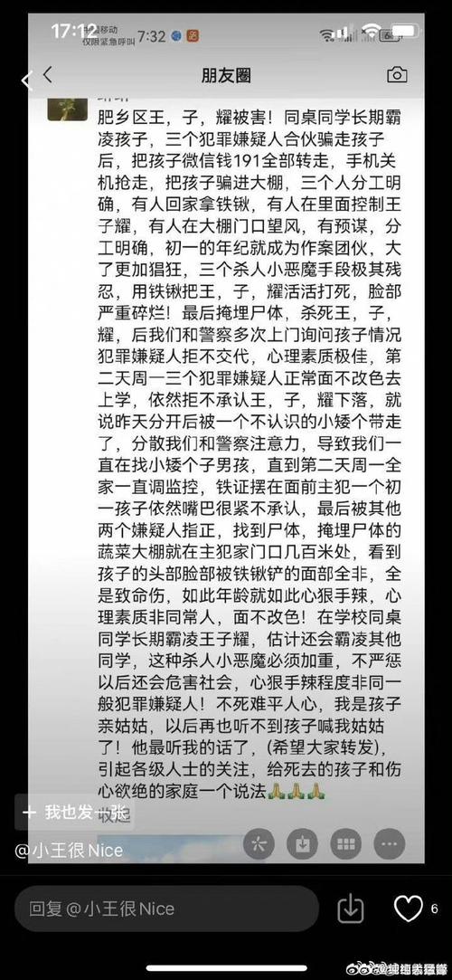 如何看待河南男子在父亲坟前祭扫时杀死亲姐一案「邯郸一村支书被杀害事件」 餐饮问答