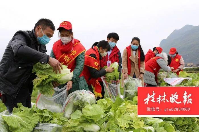 捐赠武汉的蔬菜是如何分配的「郭婷婷任财政副部长是谁」 餐饮美食