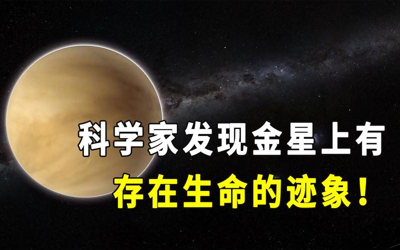 金星上有生命吗「金星疑现生命迹象图片」 餐饮经营