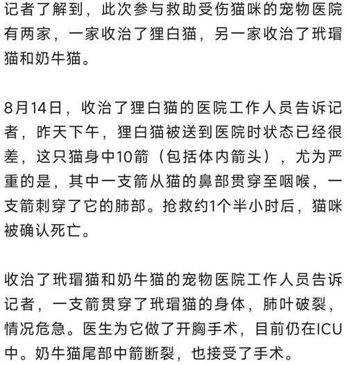 徐宁会赤手空拳打死一只老虎吗「小区多只猫被箭射伤谁负责」 经管资料