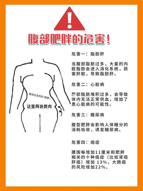 腰腹脂肪形成的原因是什么？如何才能彻底消除腰腹部的脂肪「腹部抽脂无生育能力怎么办」 行业分析