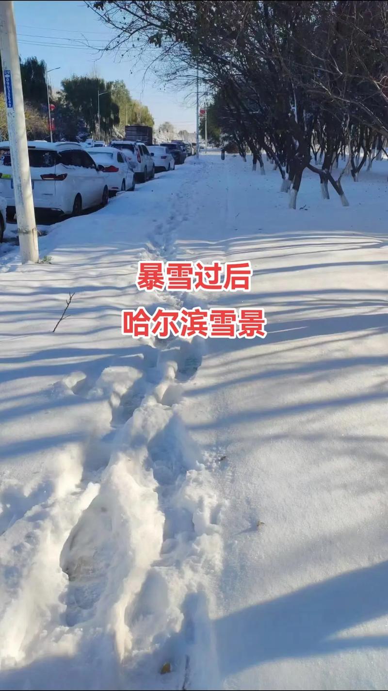 漠河下雪了！强冷空气突然侵袭，最北城市漠河喜提金秋时节第一场雪, 你怎么看「漠河下雪了么」 餐饮问答