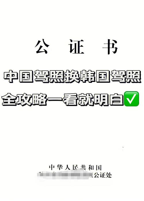 现在韩国驾照可以换成中国的吗「韩国撤换驻华大使是谁」 餐饮业务